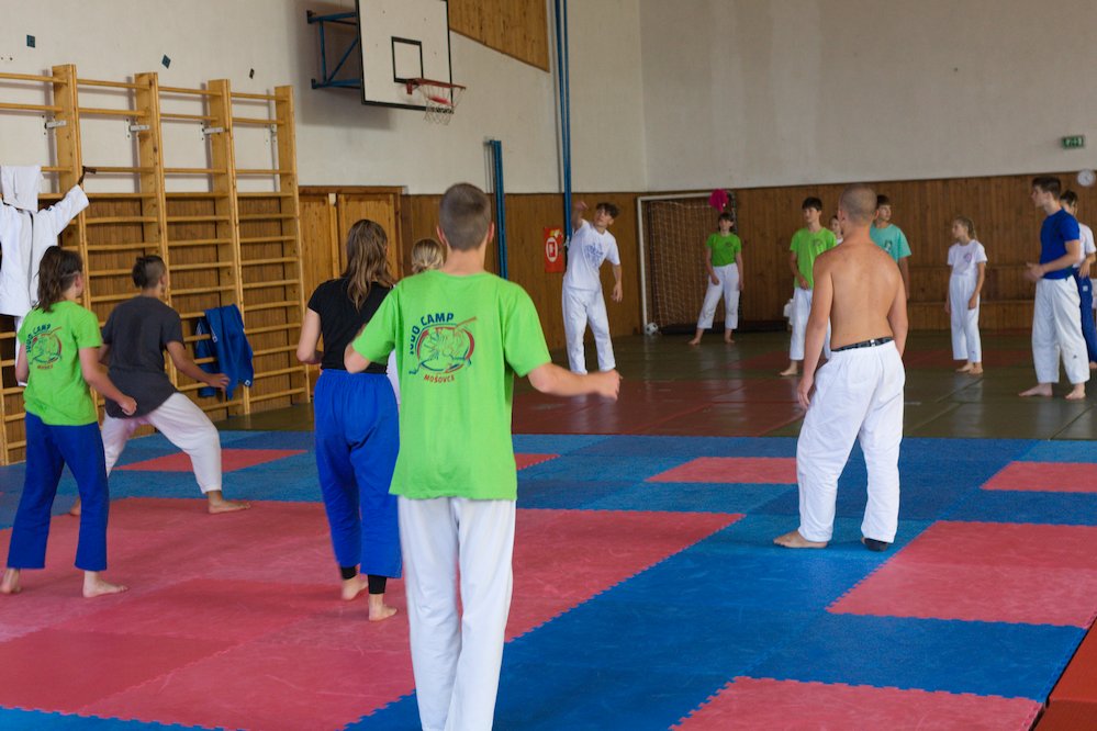 Hra s lietajúcim tanierom frisbee