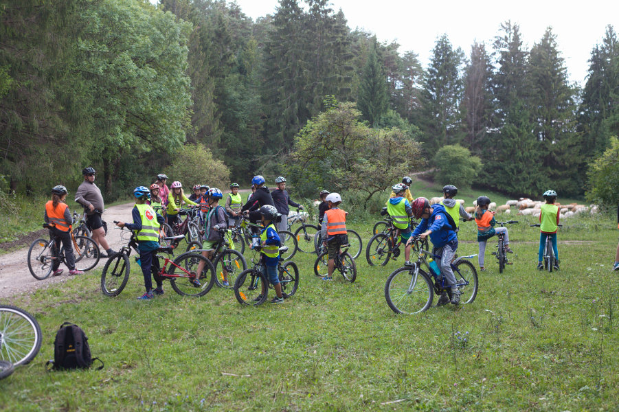 Bicyklový výlet - pasúce sa kravy